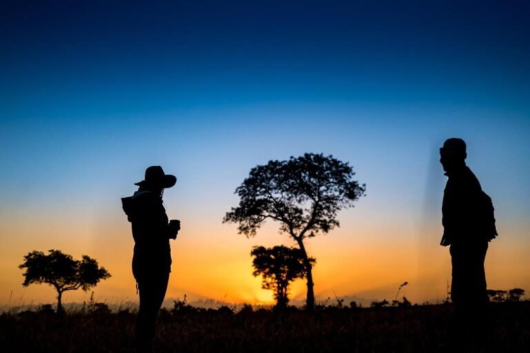 Two people in silhouette in the bush, one holding a mug, against trees and an orange horizon